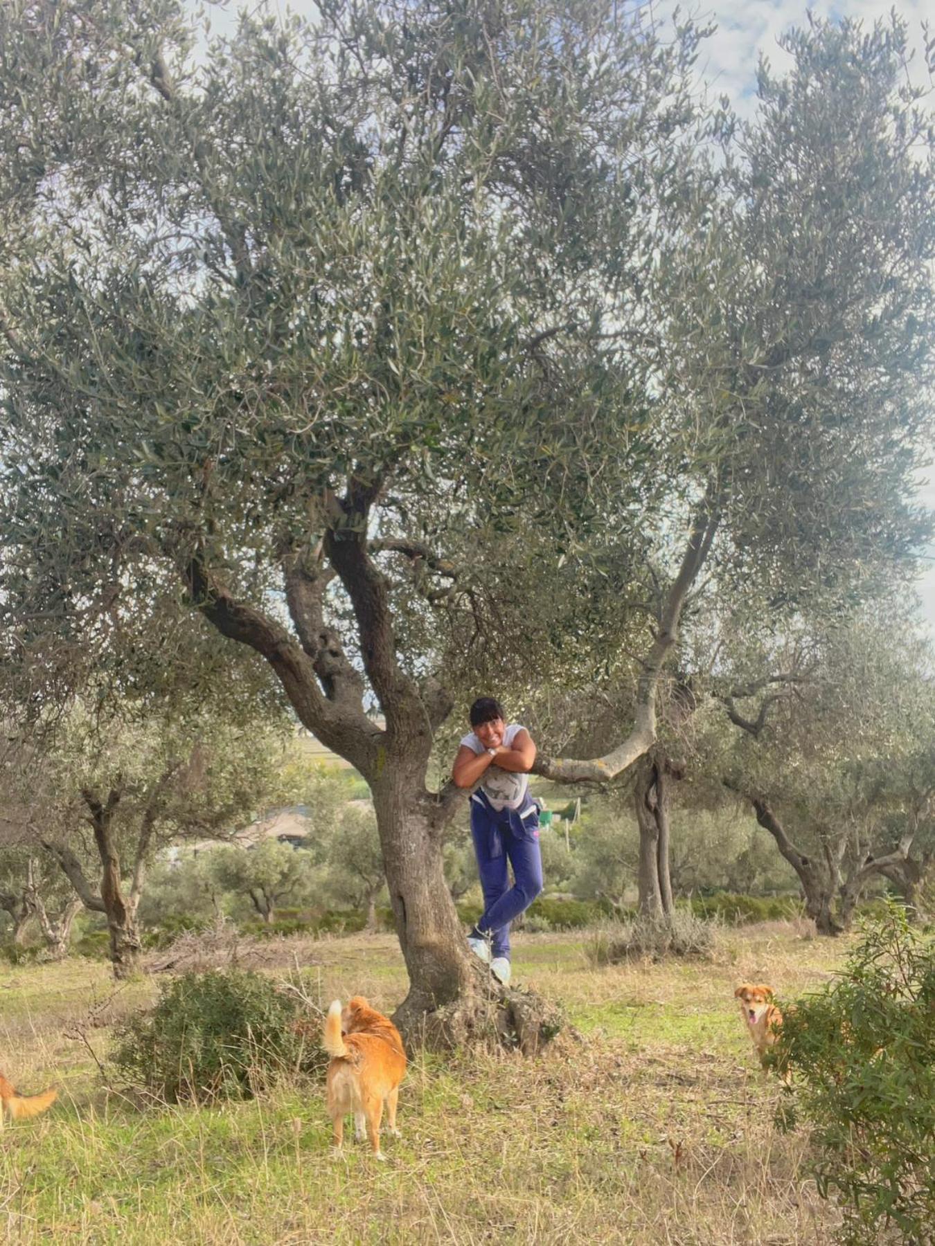 Agriturismo Porta Al Colle Macchiascandona Екстериор снимка