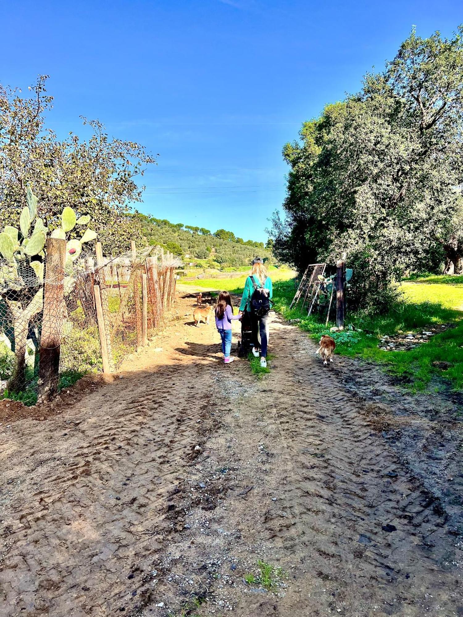 Agriturismo Porta Al Colle Macchiascandona Екстериор снимка